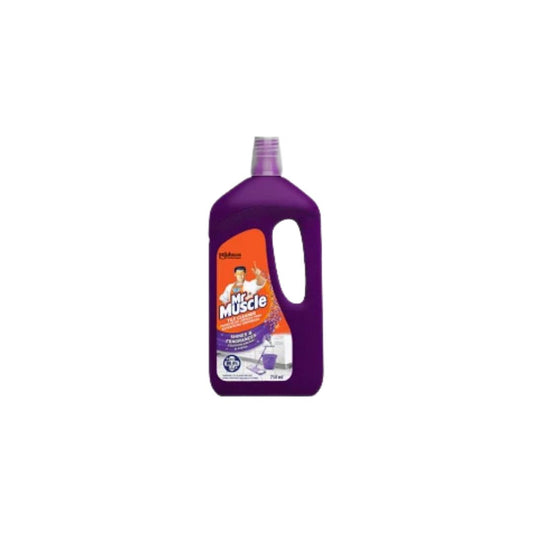 Mr Muscle Tile Cleaner 750ml