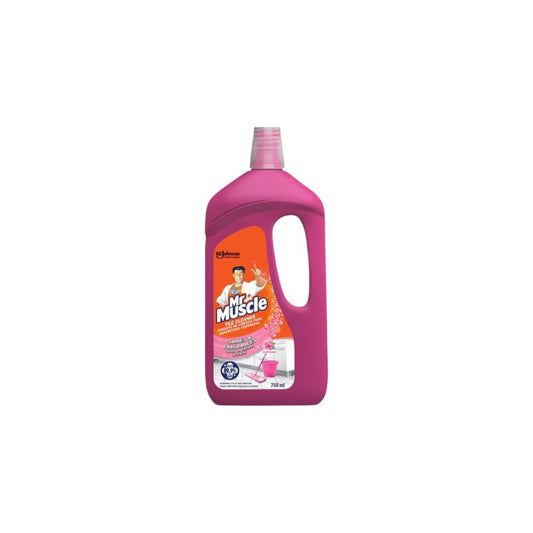 Mr Muscle Tile Cleaner 750ml